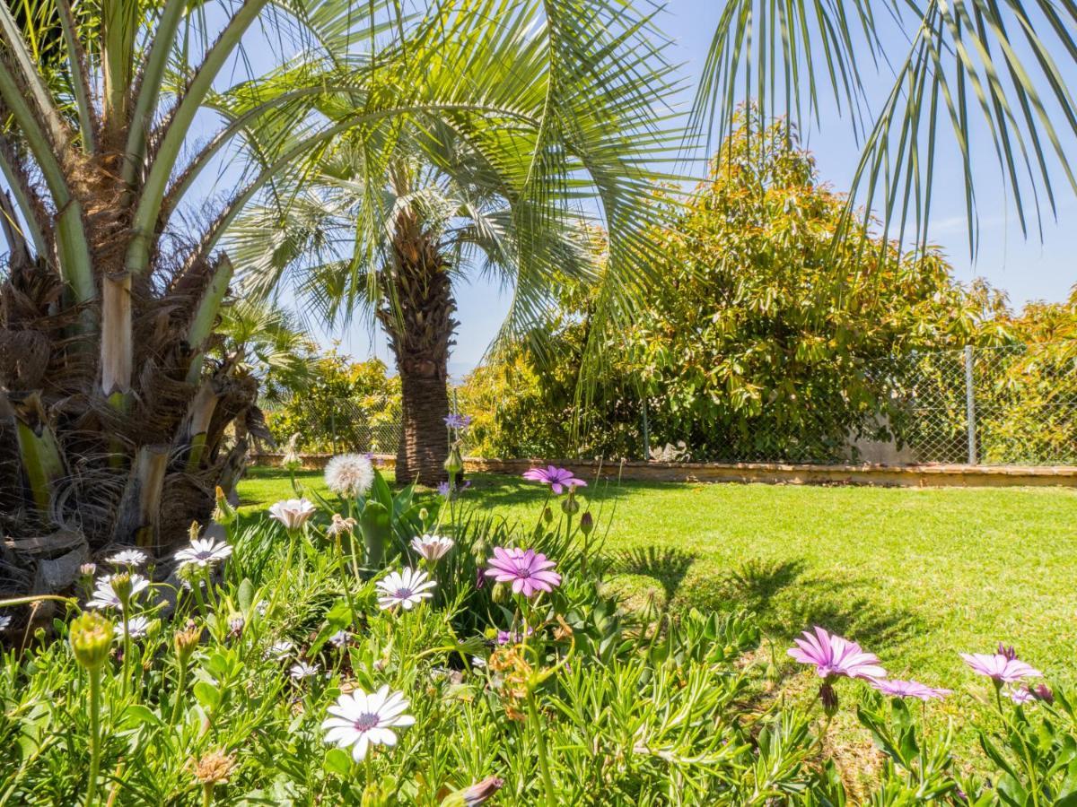 Cubo'S Finca Los Dragos Alhaurín el Grande Eksteriør billede